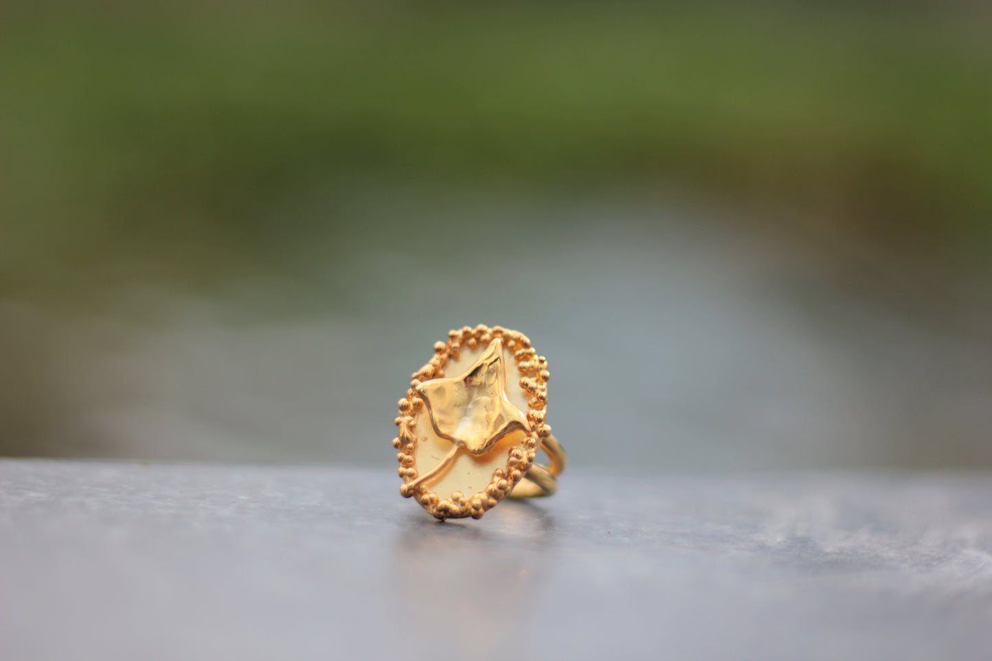 Anello Edera, Pezzo unico misura 10