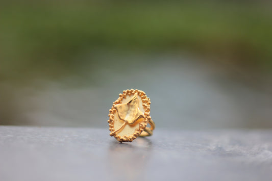 Anello Edera, Pezzo unico misura 10